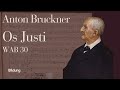 Anton Bruckner - Os Justi, WAB 30 | J.E. Gardiner, The Monteverdi Choir