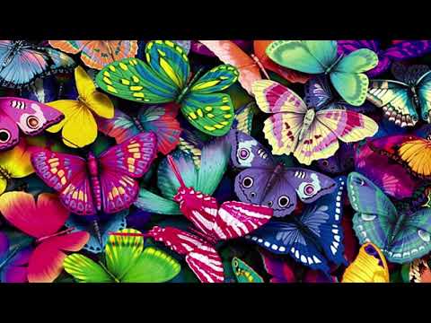 Danilo Ferro - Le farfalle volano (Official Video)