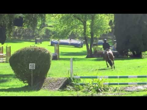 2013 ZKV Weekend, NPZ