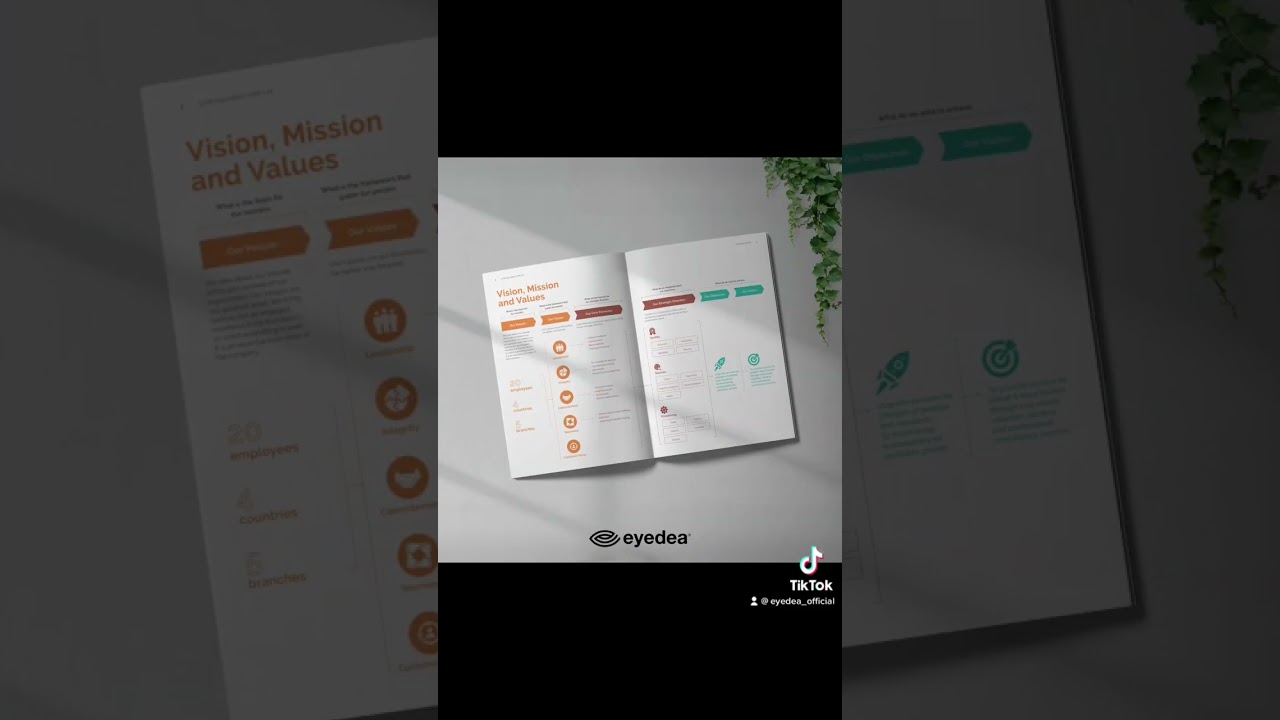 IJVR Company profile design