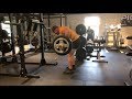 Squat Daily - 365lb Rows!