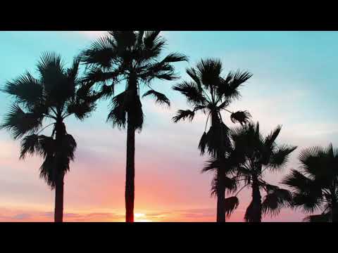 LETRA- Gracia - Daniela Galeano Feat. Kev Miranda - Omy Alka