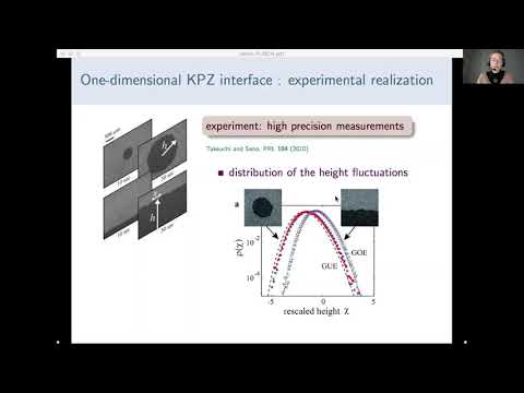 CANET Leonie, Kardar-Parisi-Zhang universality in 1D exciton-polariton systems