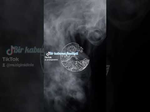 Aziz Piyade-Bu Şehri Yakın cover by Elizya #keşfet