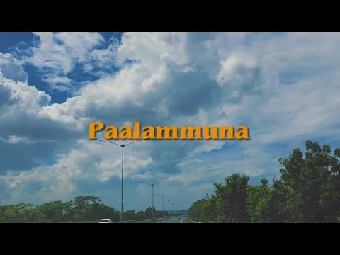 Paalammuna ft. Morningstar