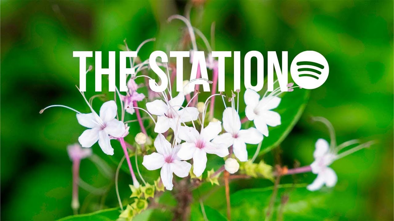 The Station: #Throwback Thursday with Conley McMullen