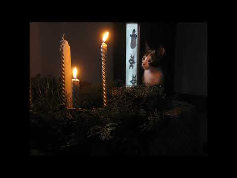 Characteristics of Cats  (Ep 5)