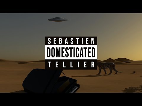 Video thumbnail for Domestic Tasks
