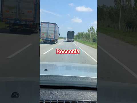 Bosconia.   #Cesar #road #travel #rutasypaisajes #shorts