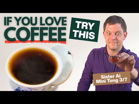 The PERFECT Tea for Coffee Drinkers: Sister Ai's Everyday Shou Pu'er - Mini Tong Series Part 3