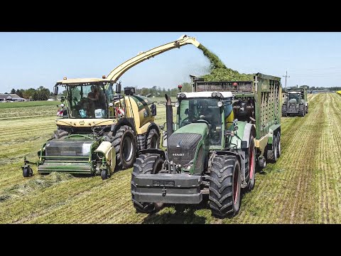 Zbiór Traw Sieczkarnią 2024! UR Blejk vs Gorzowska! Autem po pryzmie [Fendt, Krone, JohnDeere]