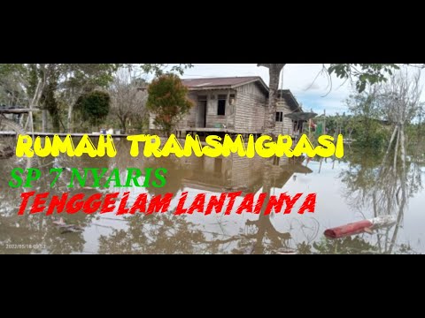 KONDISI TRANSMIGRASI SP 7 SAAT AIR PASANG@pemdestanjungbuka1173