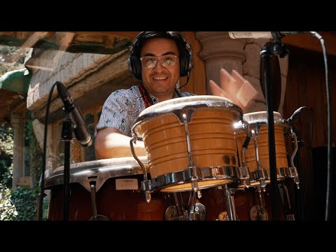 Los Mirlos - La Danza de Los Mirlos (Live on KEXP)