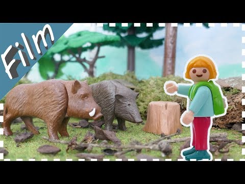 👩‍👩‍👧‍ Playmobil Film deutsch ✔ Abenteuer im Wildpark - Der Ausflug
