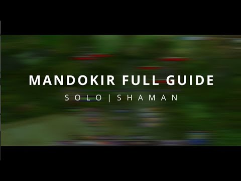 Elemental shaman solo raptor boss Mandokir in ZG - Comprehensive guide (TBC P2 level 70)