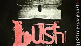 Bush - A Tendency To start Fires
