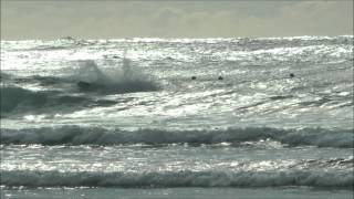 preview picture of video 'SURF TRAINING SCHOOL - ESCOLA de SURF - Edif. Transparente - Porto - 17 Novembro 2012'