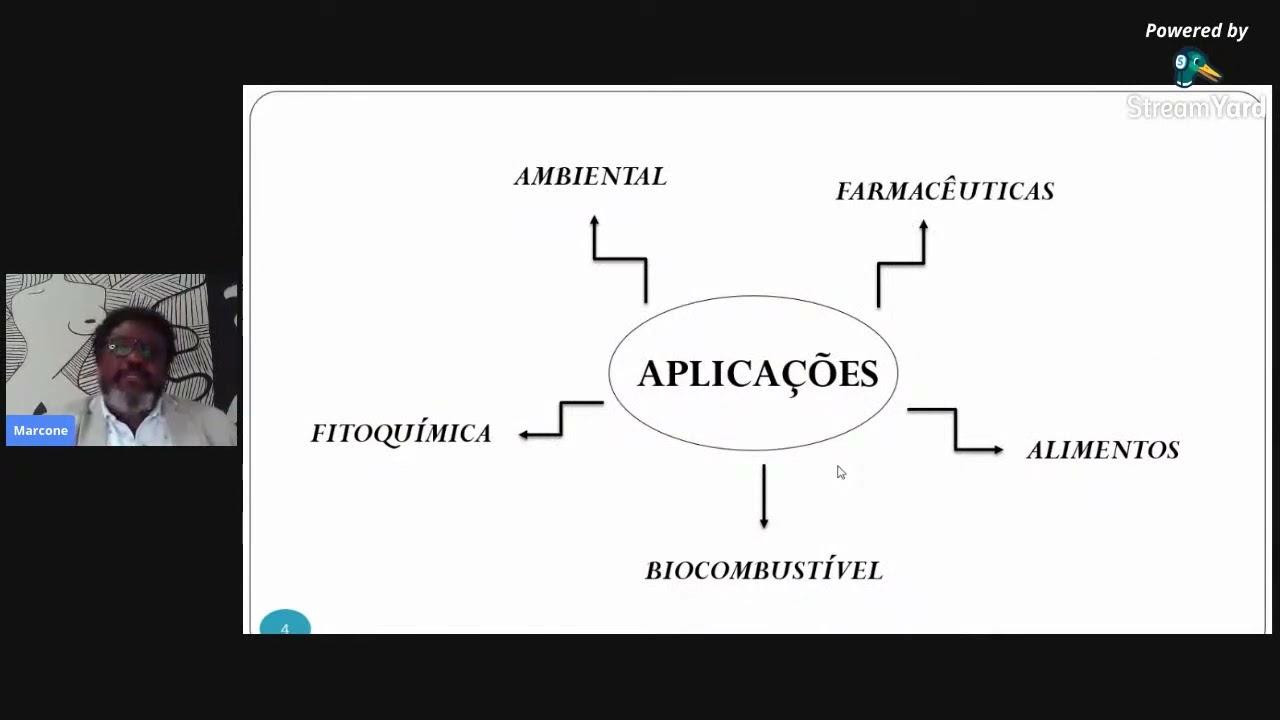 A Eletroforese Capilar como Potencialidade Analítica Alternativa  Estudo de Casos