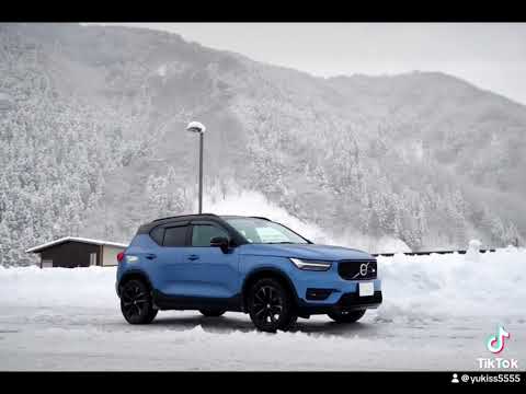 冬に撮ったものを繋げてみた