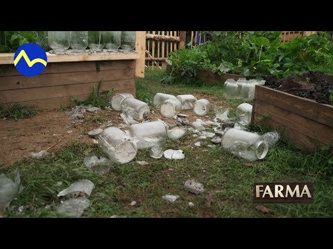 Giuliana rozbila skleník - FARMA