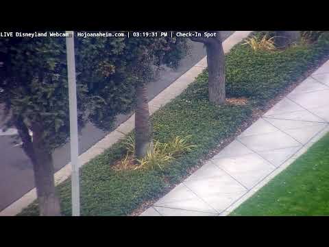 Live webcam of Disneyland Cam