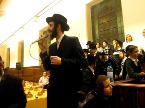 Eli Goldman singing at bobov hachnosas sefer torah in London