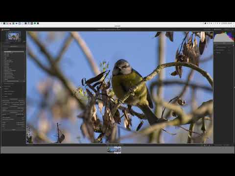 Darktable #1 Editing some tits