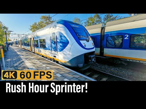 Train Cab Ride NL / Rush Hour Sprinter / Tiel - Utrecht - Leiden / SLT Sprinter / April 2024