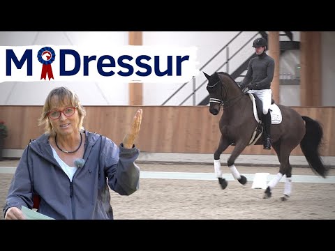 Das wollen die Richter sehen: M-Dressur 😅| Ganz schön anspruchsvoll 🤯| ClipMyHorse.TV Academy