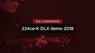 Taylor 224ce-K DLX demo 2018