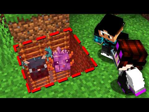 The New Home for Mendrux Pets - CS5