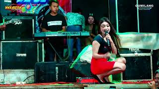 Download lagu VELOZTA MUSIK - MANGKU PUREL YAYA APRILIA - HAPPY PARTY PEMUDA TENGAHAN DOROREJO TENGAHAN TAYU PATI mp3 Download lagu VELOZTA MUSIK - MANGKU PUREL YAYA APRILIA - HAPPY PARTY PEMUDA TENGAHAN DOROREJO TENGAHAN TAYU PATI mp3