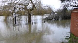 preview picture of video 'Thames-upon-Staines (Laleham & Penton Hook floods)'