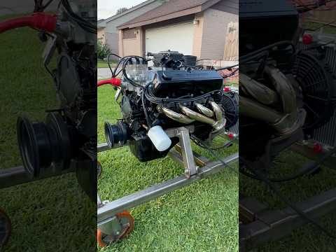 351w hittin hard in the front yard!!! #ford #automobile #mustang #cammed #cartok #viral:
