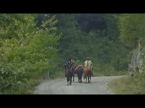 La Antigua Ruta al Puelmapu