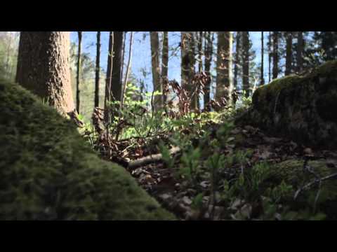 Glarnerland -- SRF bi de Lüt - Wunderland vom 9. Mai 2014