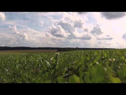 Golfplatz Leonhardshaun