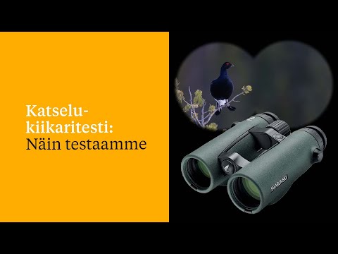 Katselukiikaritesti: Näin testaamme