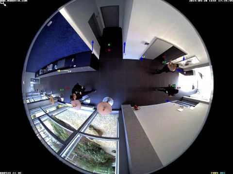 MOBOTIX Hemispheric Corridor