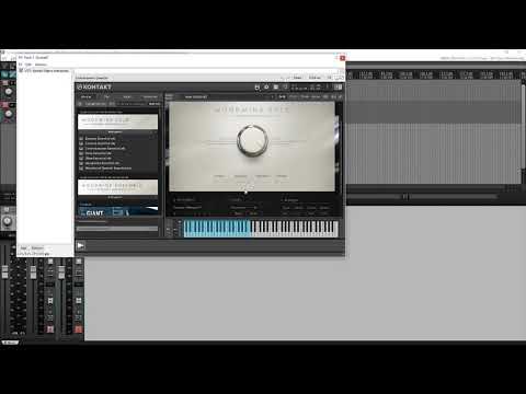 NI Symphony Essentials | VST Demo | Woodwinds