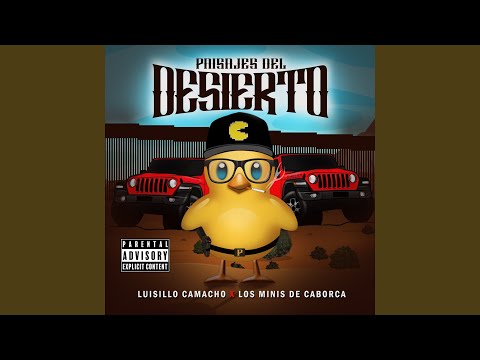 Paisajes del Desierto