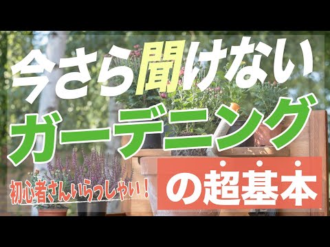 庭師の基本的な道具