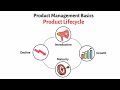 Product Management Explained 2 Understanding The Product Lifecycle