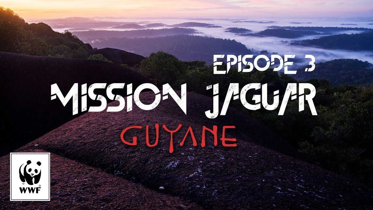 Mission jaguar Guyane - Épisode 3