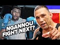 Will Fabricio Werdum Return to Fight Francis Ngannou in PFL? Plus Bold Claim on Jon Jones!
