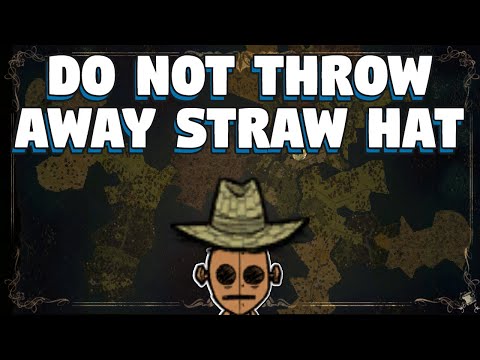 Always Keep Your Straw Hat in Don't Starve Together - Do Not Throw Away Your Straw Hat in DST