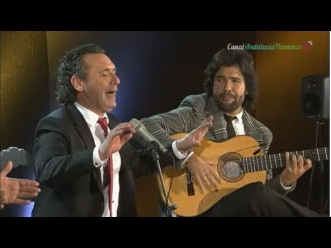 Alegrías. Caracolillo de Cádiz. 2019