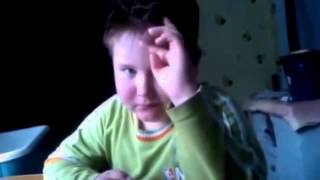 МАТ высказался Ласточка с весною в сени к нам летит