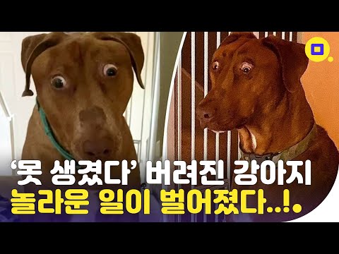 아이콘