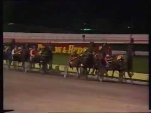 1979 Interdominions - Trotters' Final, Addington, Christchurch: No Response